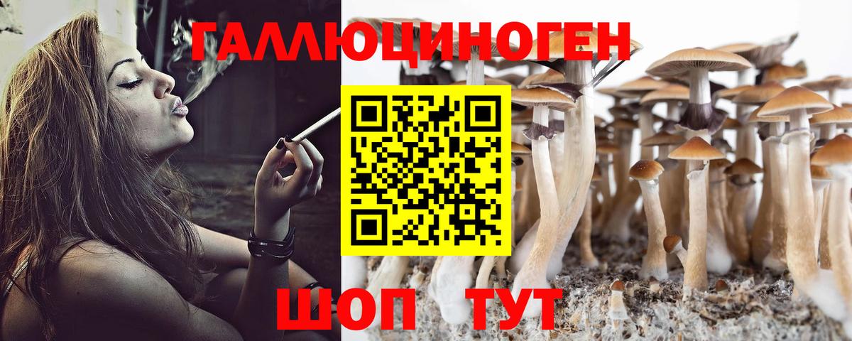 Галлюциногенные грибы GOLDEN TEACHER Дубна