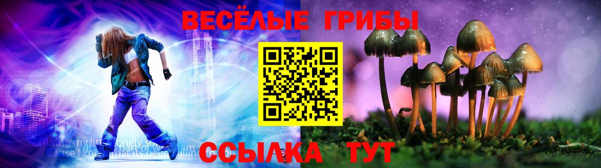 Дубна  Псилоцибиновые грибы ЛСД  Вход с VPN 